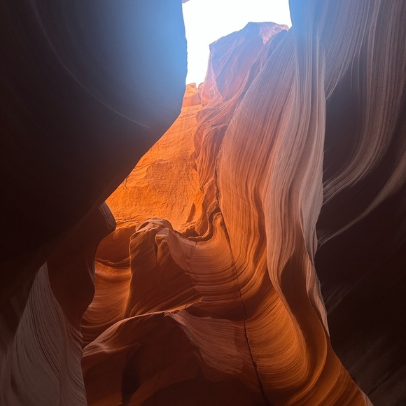 Meet your Posher, Roberto - Picture 1 of 16